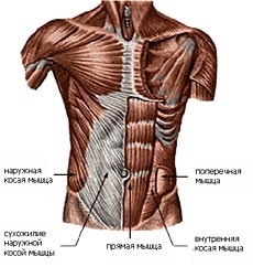 Пресс