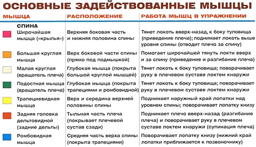 Тяга гантели одной рукой в наклоне