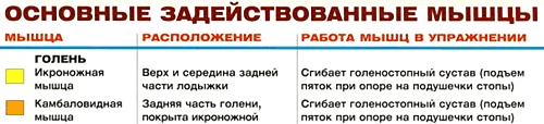 Подъемы на носки сидя