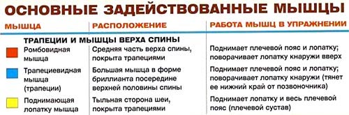 Шраги с гантелями