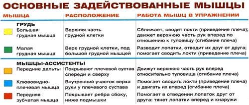 Сведения рук в тренажере Peck-Deck