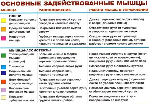Жим штанги с груди стоя