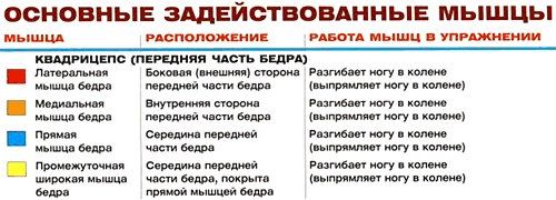 Разгибания ног сидя