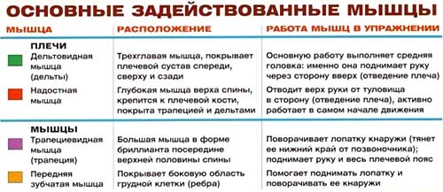 Разведение гантелей стоя
