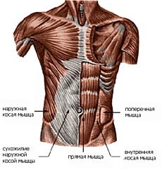 Пресс